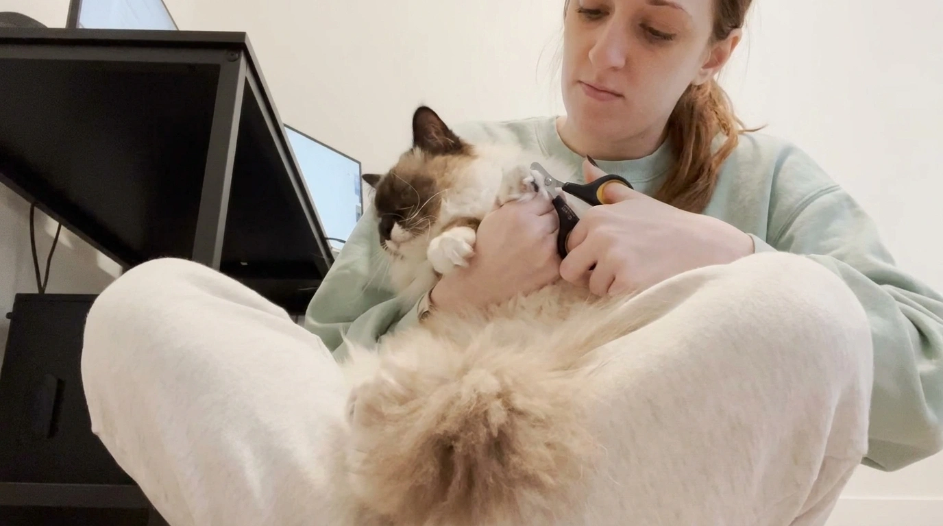 Petunia, la chatte qui a transformé une amoureuse des chiens en véritable maman chat