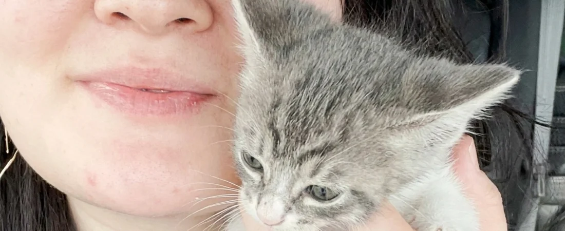 Rumpus, le chat qui voulait résoudre tous les mystères de la maison