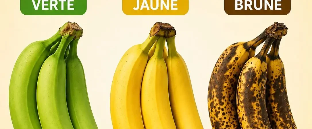 Banane verte, jaune ou brune : laquelle est vraiment la plus saine pour vous ?