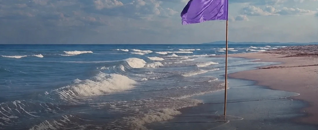 Drapeaux de plage : le guide indispensable pour nager en toute sécurité cet été