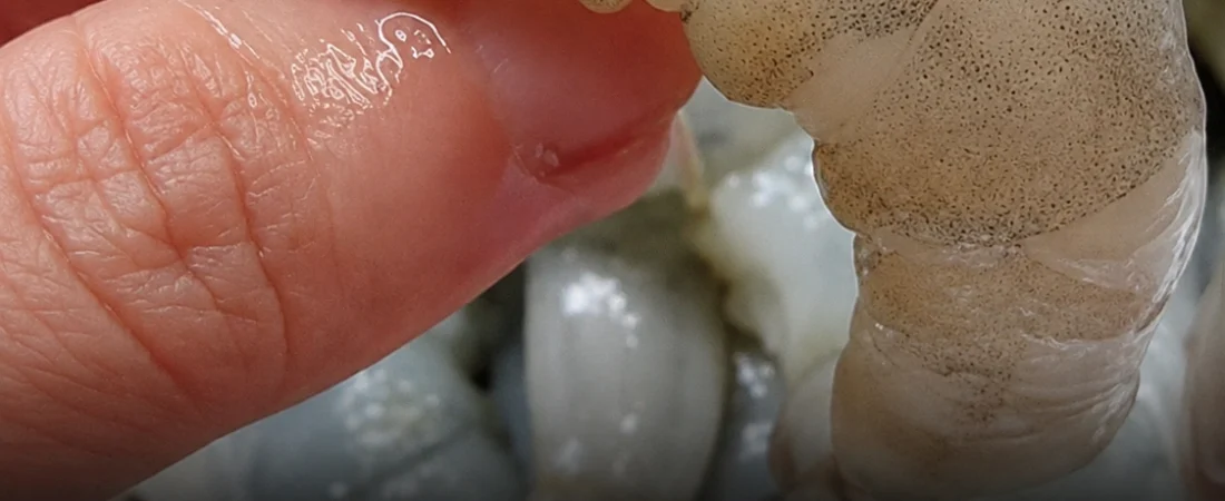 Ce filet noir dans les crevettes : ce que c’est vraiment et pourquoi vous devriez le retirer avant de cuisiner