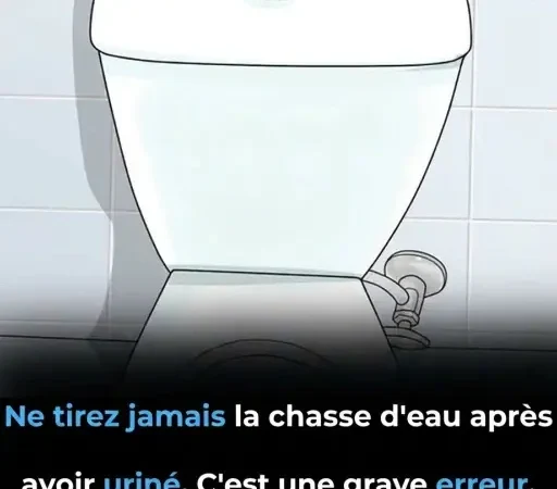 Pourquoi ne pas tirer la chasse d’eau à chaque passage aux toilettes est (vraiment) une bonne idée