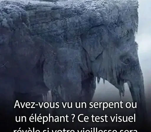  Serpent ou éléphant : cette illusion d’optique virale révèle comment vous voyez vraiment le monde