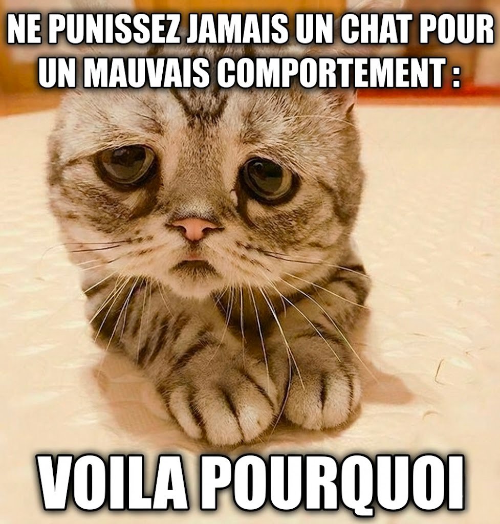 12h12
