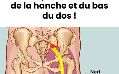 4 exercices pour etirer le piriforme et en finir avec la sciatique et les douleurs du bas du dos.jpg (1)