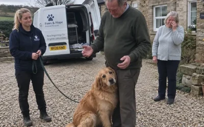 Apres la perte de son fils son chien a ete retrouve (1)