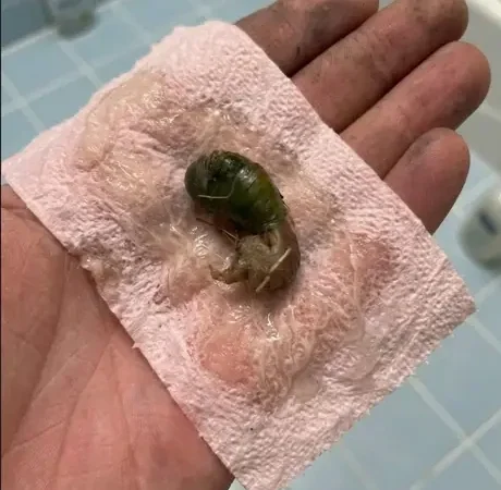 Elle trouve un objet bizarre dans sa salle de bain : la réponse va vous faire sourire