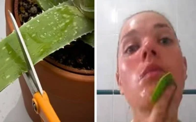 Aloe vera pelle viso