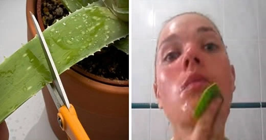 Aloe vera pelle viso