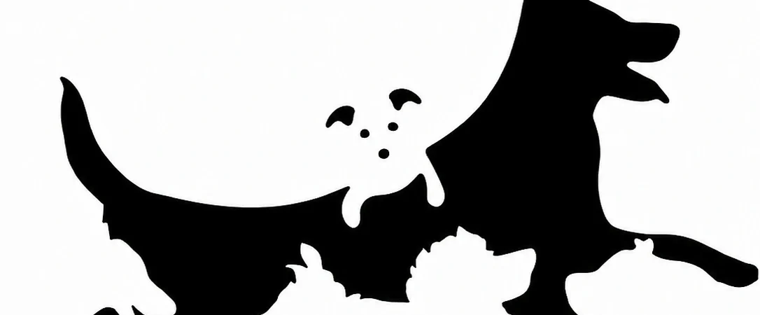 Test visuel : combien de chiens voyez-vous ? Ce que votre réponse dit vraiment de votre âge mental
