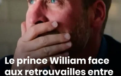 Le prince william face aux retrouvailles entre charles et harry les dessous dune reunion familiale qui fait debat.jpg (1)