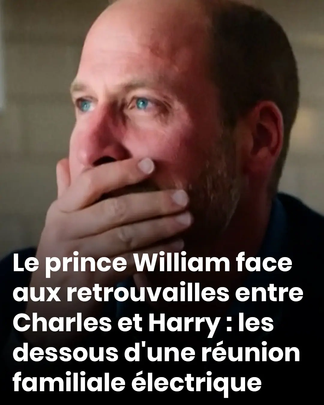 Le prince william face aux retrouvailles entre charles et harry les dessous dune reunion familiale qui fait debat.jpg (1)