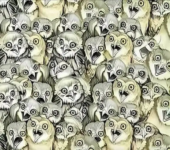 Nb2 999 20260910 082336 337965d6 agm.jpg (1)