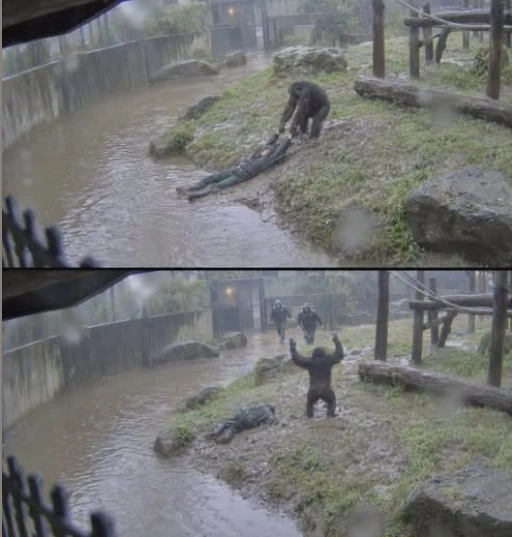 Ss