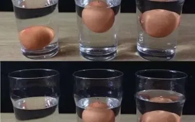 Comment savoir si un oeuf est bon.jpg (1)