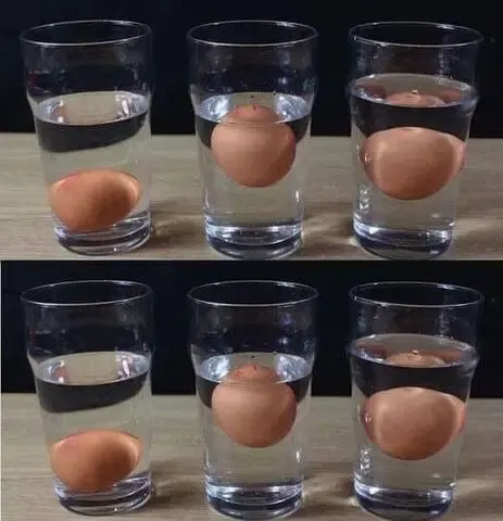 Comment savoir si un oeuf est bon.jpg (1)