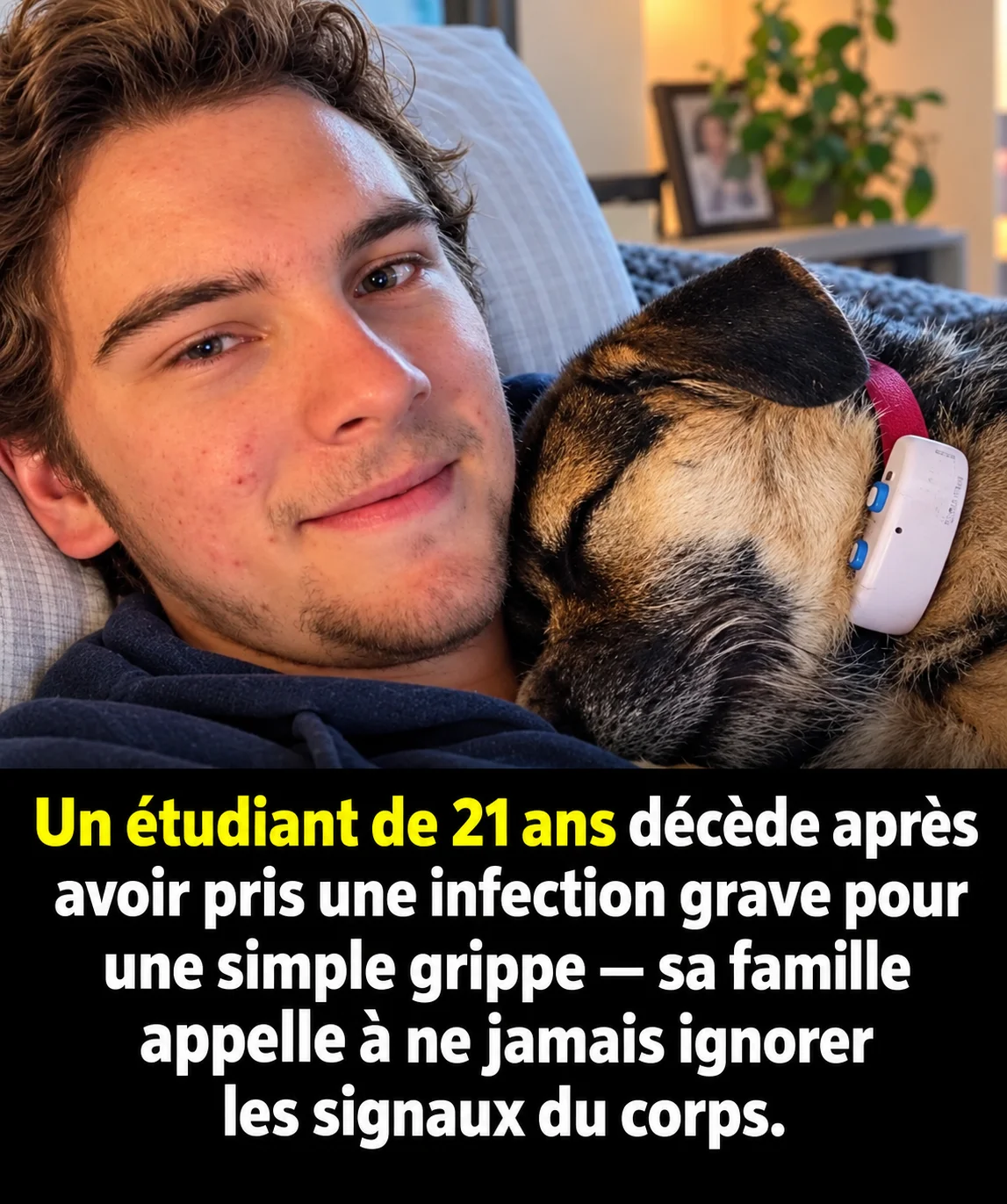 Inf 1373