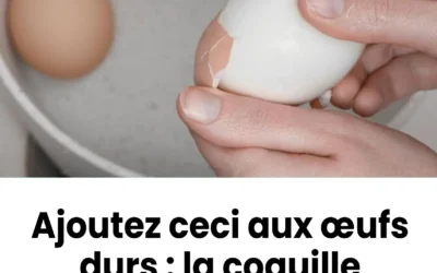 Plongez les dans leau ou les oeufs bouillent la coquille se detachera presque toute seule.jpg (1)