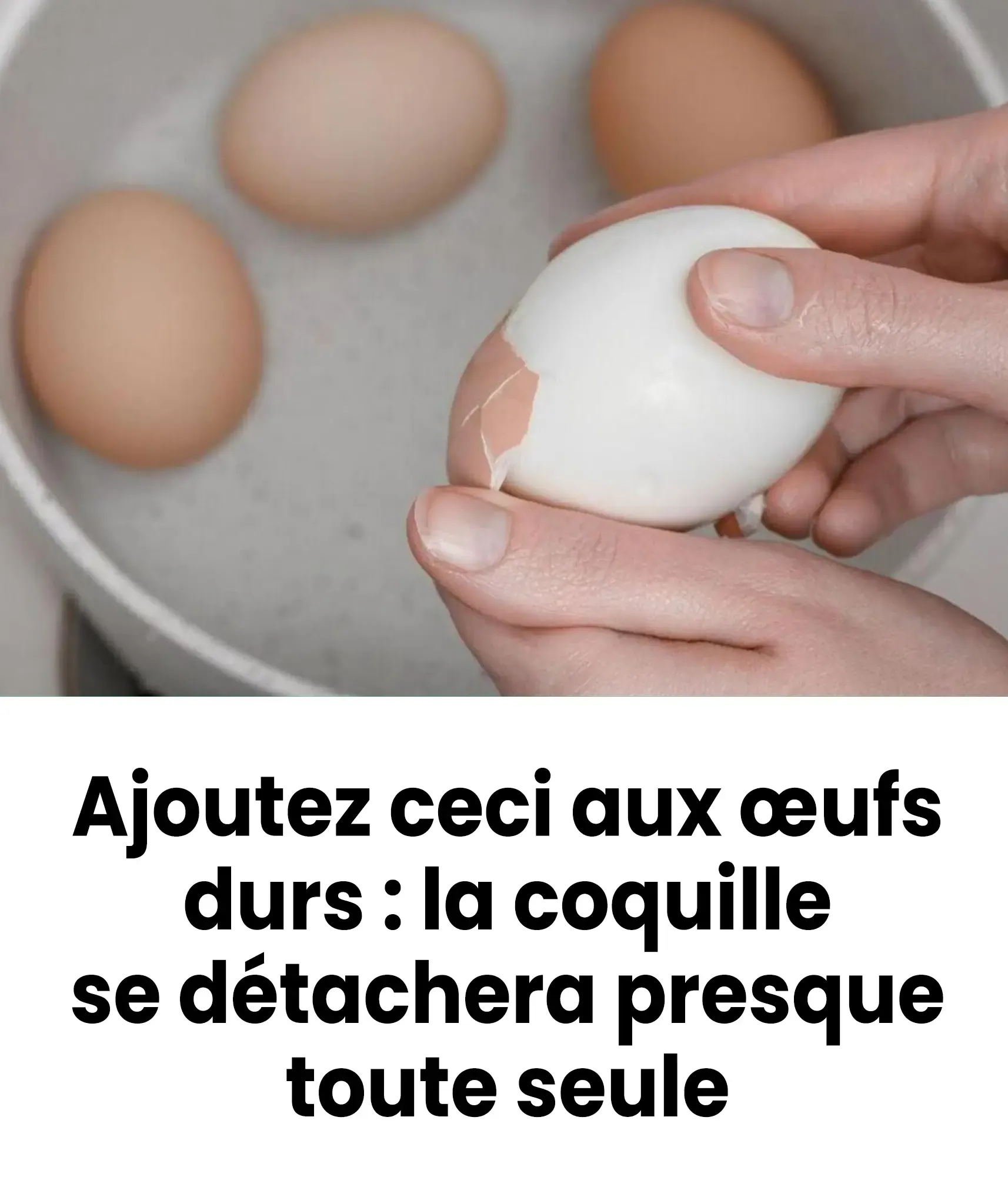Plongez les dans leau ou les oeufs bouillent la coquille se detachera presque toute seule.jpg (1)